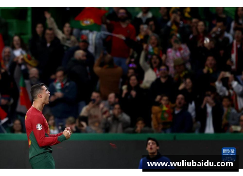 葡萄牙主场迎战列支敦士登，欧洲杯预选赛焦点对决