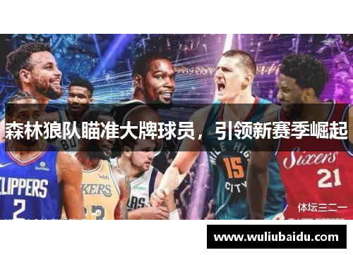 森林狼队瞄准大牌球员，引领新赛季崛起