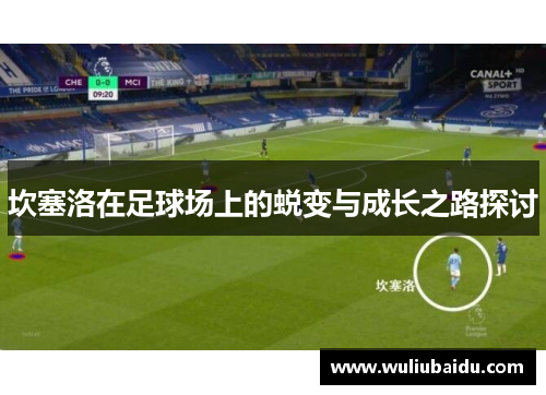 坎塞洛在足球场上的蜕变与成长之路探讨