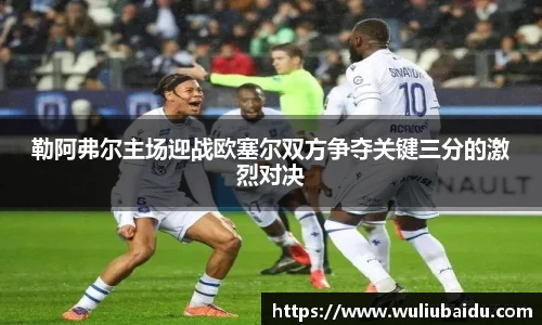 J9勒阿弗尔主场迎战欧塞尔双方争夺关键三分的激烈对决